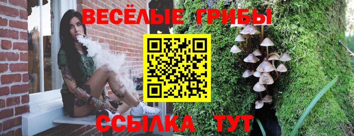 Псилоцибиновые грибы мицелий Будённовск