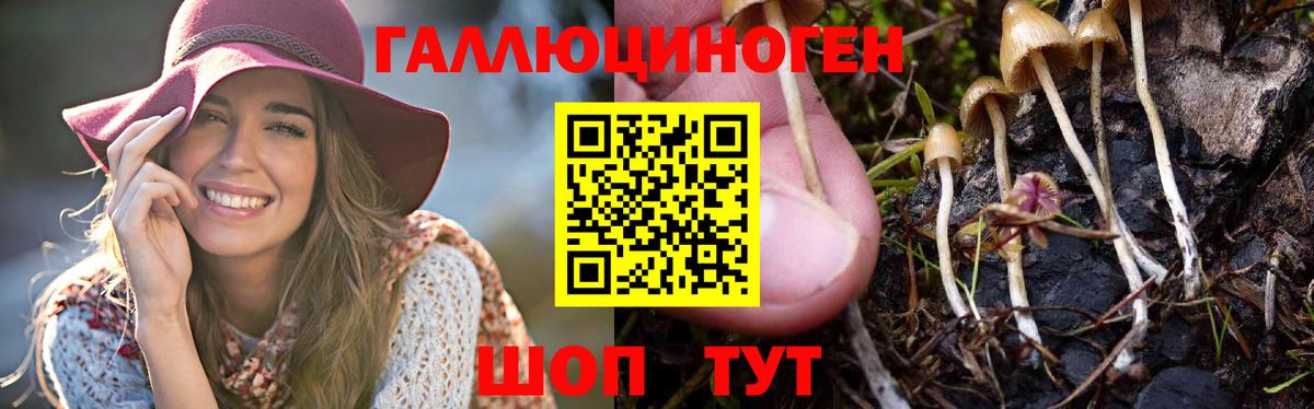 Псилоцибиновые грибы ЛСД  Вход с VPN  Будённовск 